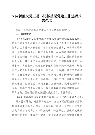 两新组织党工委书记抓基层党建工作述职报告