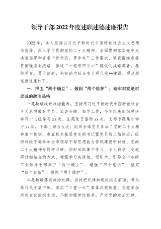 领导干部2022年度述职述德述廉报告