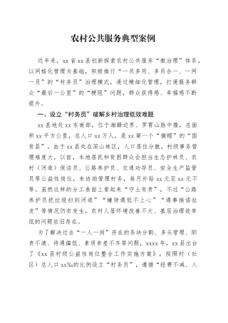 农村公共服务典型案例