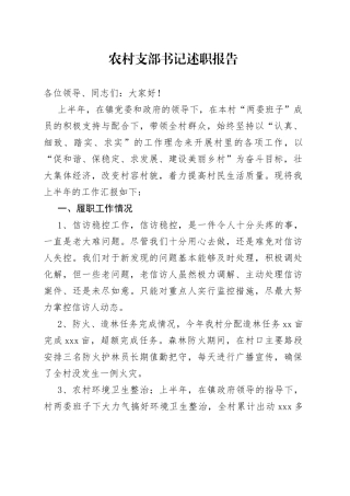 农村支部书记述职报告