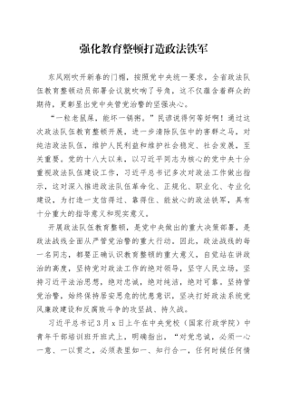 强化教育整顿打造政法铁军
