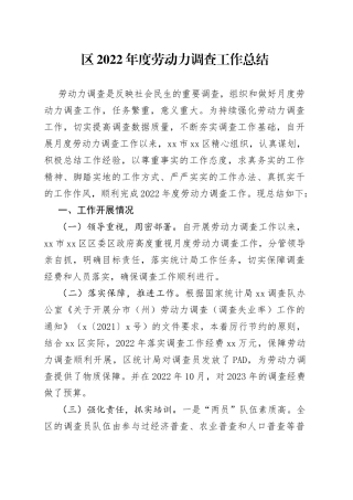 区2022年度劳动力调查工作总结
