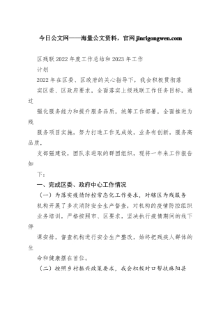 区残联2022年度工作总结和2023年工作计划