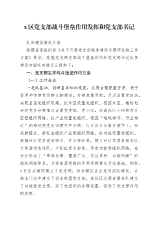 区党支部战斗堡垒作用发挥和党支部书记队伍建设情况汇报