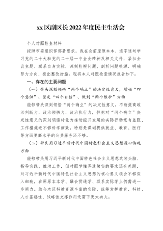 区副区长2022年度民主生活会个人对照检查材料