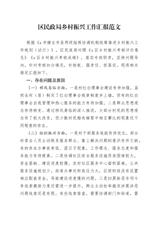 区民政局乡村振兴工作汇报范文存在问题原因打算工作总结报告