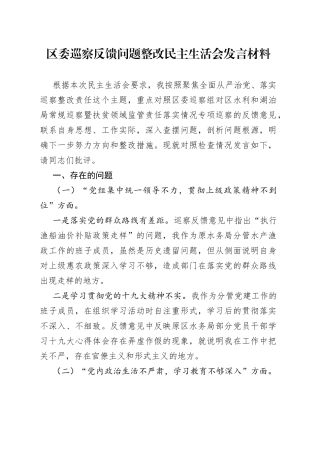 区委巡察反馈问题整改民主生活会发言材料