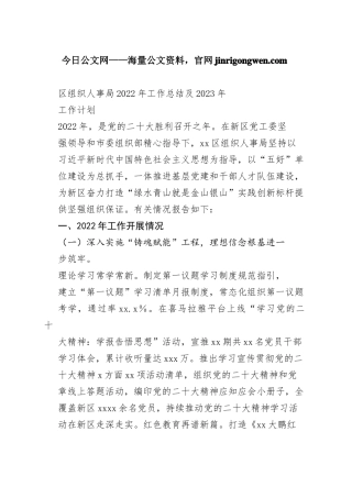 区组织人事局2022年工作总结及2023年工作计划