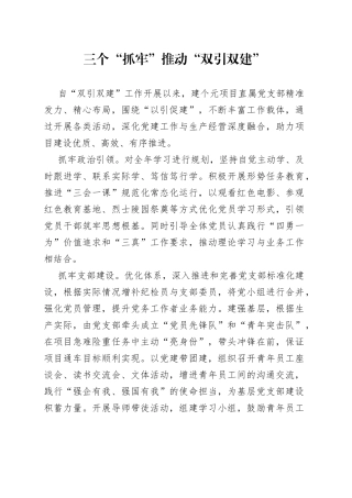 三个“抓牢”推动“双引双建”