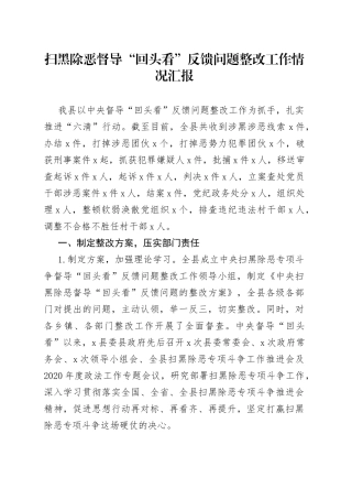 扫黑除恶督导“回头看”反馈问题整改工作情况汇报