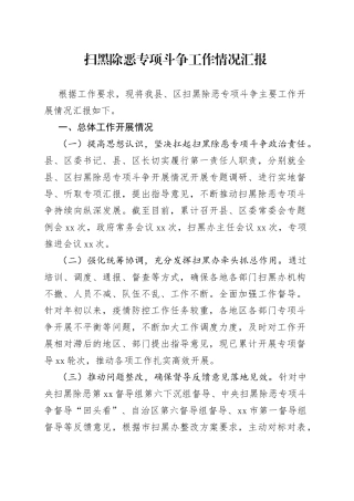 扫黑除恶专项斗争工作情况汇报