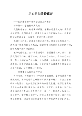 沙堆镇中心学校校长吴龙清：在沙堆镇青年教师培训会上的发言