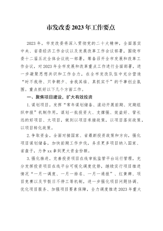 市发改委2023年工作要点