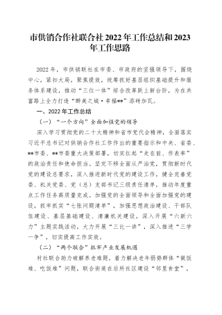 市供销合作社联合社2022年工作总结和2023年工作思路