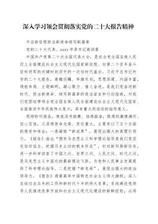 市委书记学习党的二十大报告精神心得体会