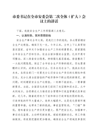 市委书记在全市安委会第二次全体（扩大）会议上的讲话