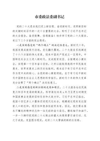 市委政法委学习党的二十大精神心得体会摘编3篇