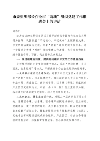 市委组织部长在全市“两新”组织党建工作推进会上的讲话