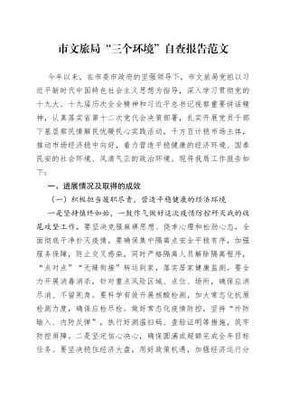 市文旅局三个环境自查报告
