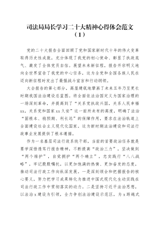 司法局局长学习二十大精神心得体会6篇