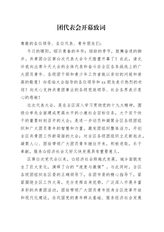 团代表会开幕致词和讲话