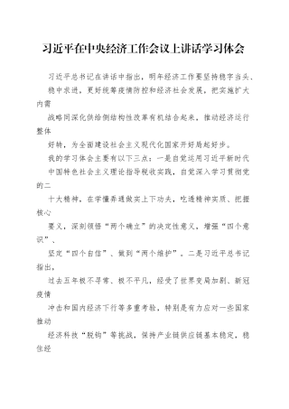 习近平在中央经济工作会议上讲话学习体会