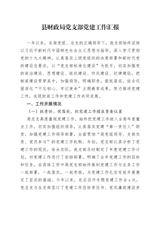 县财政局党支部党建工作汇报