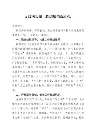 县河长制工作进展情况汇报(1)