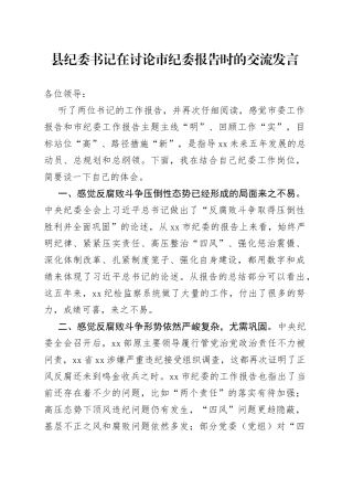 县纪委书记在讨论市纪委报告时的交流发言（1）