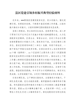 县区党建引领乡村振兴典型经验材料