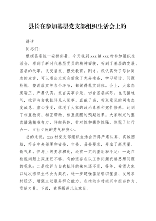 县长在参加基层党支部组织生活会上的讲话