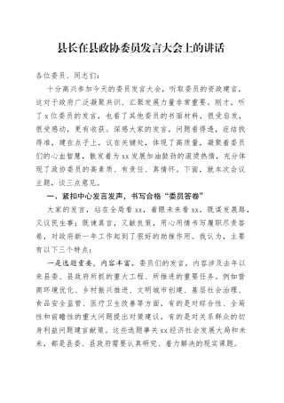 县长在县政协委员发言大会上的讲话
