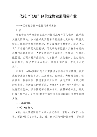 乡村振兴—产业振兴典型案例材料