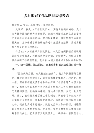 乡村振兴工作队队长表态发言