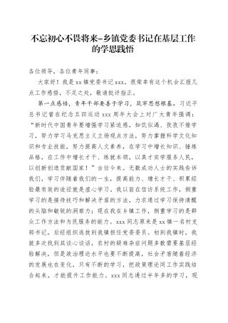 乡镇党委书记在基层工作的学思践悟