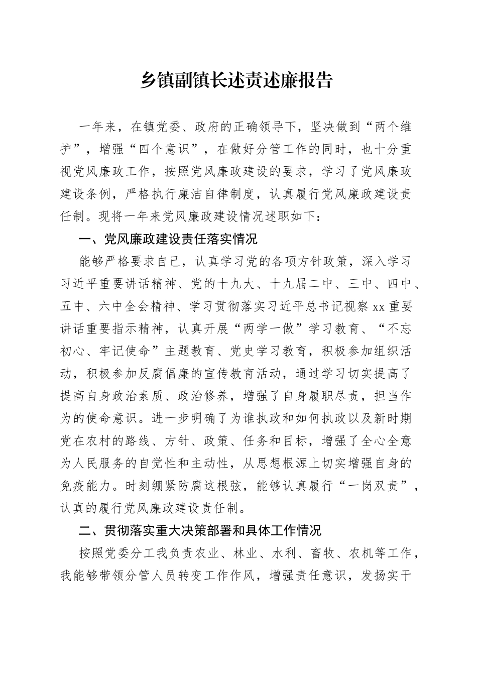 乡镇副镇长述责述廉报告_第1页