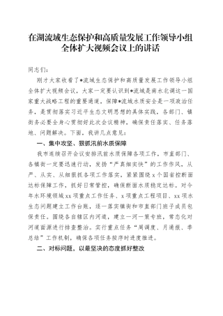 在湖流域生态保护和高质量发展工作领导小组全体扩大视频会议上的讲话
