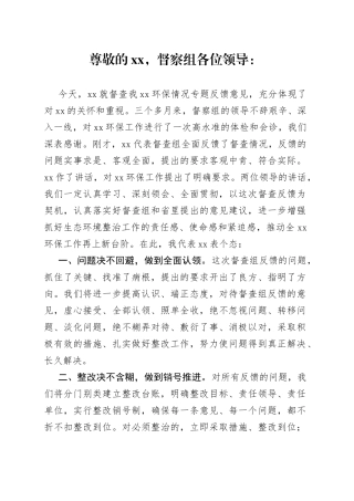 在环保督查情况反馈会上的表态发言