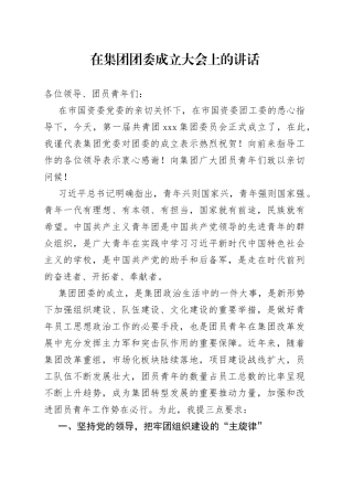 在集团团委成立大会上的讲话(1)