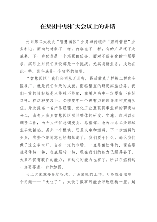 在集团中层扩大会议上的讲话