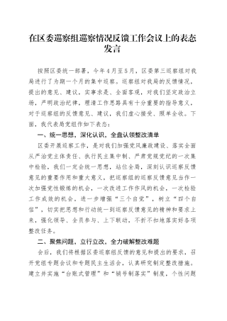 在区委巡察组巡察情况反馈工作会议上的表态发言
