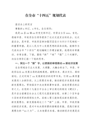 在全市“十四五”规划代表座谈会上的发言