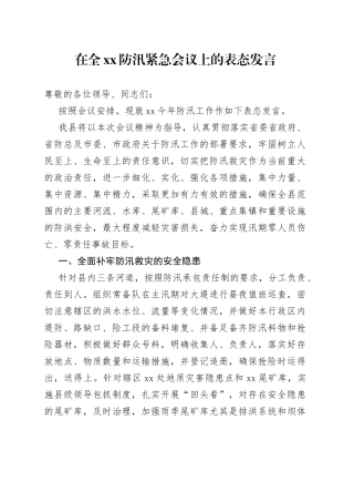 在全市防汛紧急会议上的表态发言