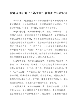 做好项目招引“五篇文章”着力扩大有效投资