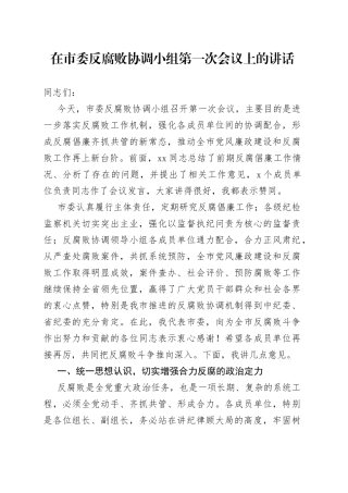 在市委反腐败协调小组第一次会议上的讲话