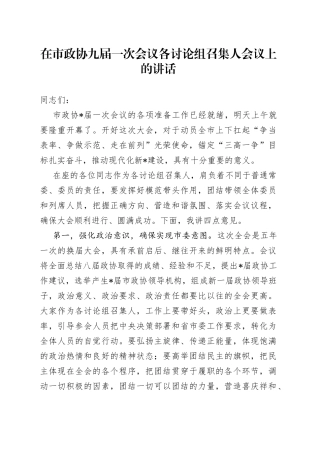 在市政协九届一次会议各讨论组召集人会议上的讲话(1)