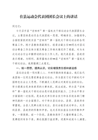 在县运动会代表团团长会议上的讲话