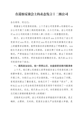 在巡察反馈会上的表态发言丨二级公司