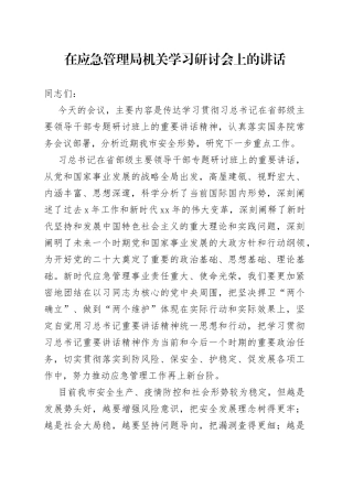 在应急管理局机关学习省部级领导讲话研讨会上的讲话