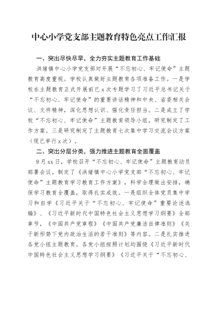 中心小学党支部主题教育特色亮点工作汇报